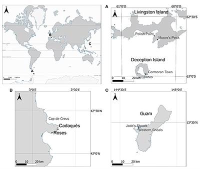 How does heat stress affect sponge microbiomes? Structure and resilience of microbial communities of marine sponges from different habitats